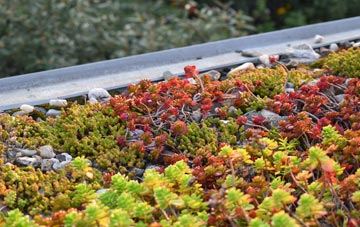 the cost of Norley Common green roof installation