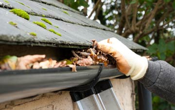 gutter cleaning Norley Common, Surrey