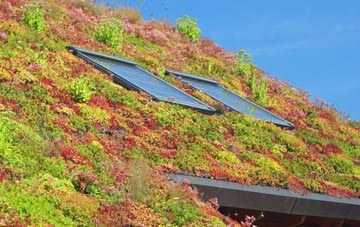 Norley Common living roof systems